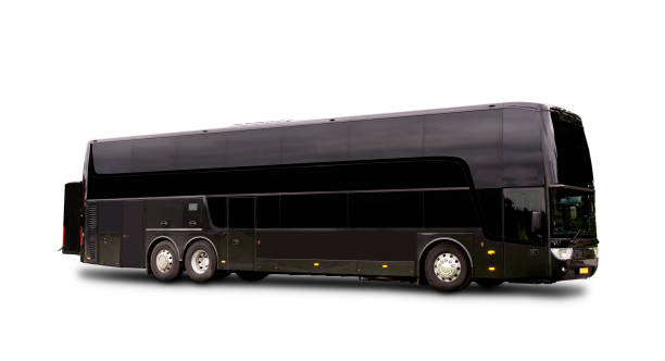 Comfortable Regular Coach Event Shuttle